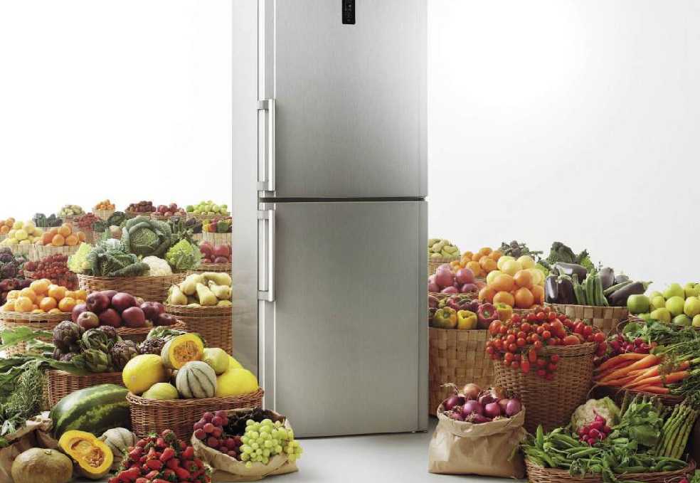 Какой купить холодильник 2021. советы мастеров