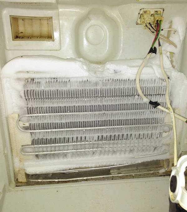 Холодильная камера не морозит? холодильник не охлаждает - что делать? | рембыттех