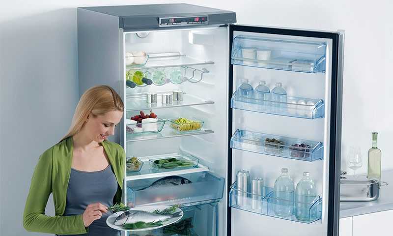 ❄ холодильники ноу фрост: обзор моделей, характеристики