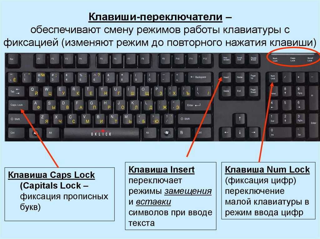 Не работает часть клавиатуры на ноутбуке: что делать
