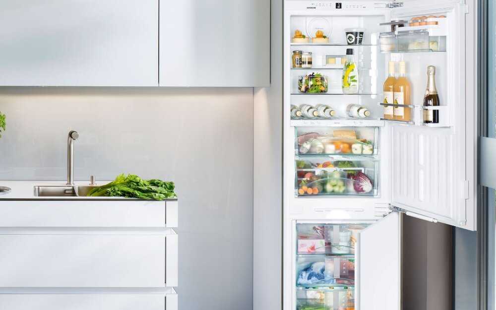 Холодильник с большим объемом морозильной камеры: лучшие