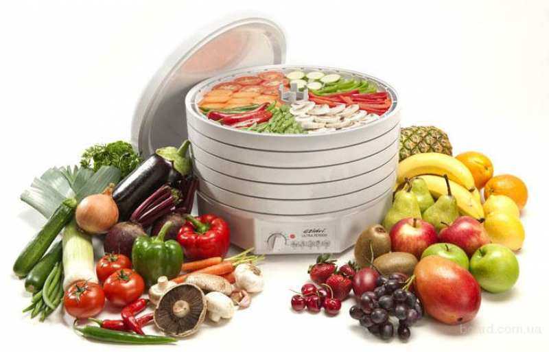 Обзор сушилок-дегидраторов для фруктов и овощей изидри, вольтера, беломо и ветерок