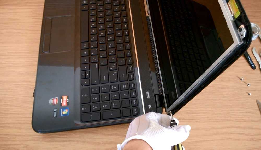 Ремонт ноутбуков своими руками экран