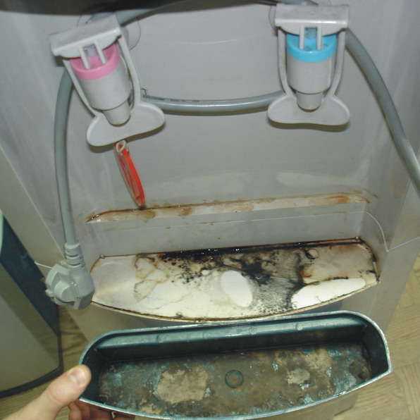 Качественная чистка кулера для воды в домашних условиях