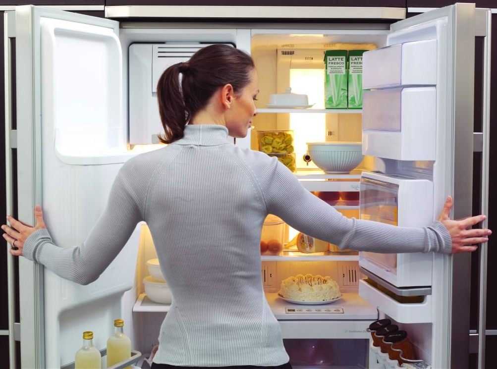 Как выбрать надежный двухкамерный холодильник с морозильной камерой: обзор популярных моделей, их плюсы и минусы