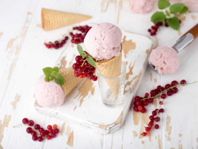 Рейтинг топ 7 лучших морожениц для дома: какую выбрать, характеристики, отзывы, цен