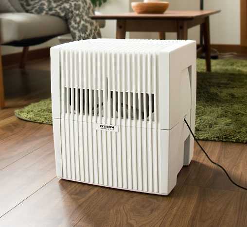 Какой очиститель воздуха для дома выбрать при аллергии на пыльцу, шерсть животных и для астматиков