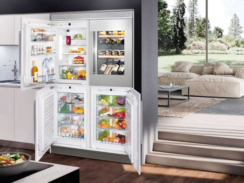 Холодильные камеры для дома: как выбрать лучшую, их виды и характеристики, обзор и рейтинг популярных моделей с их плюсами и минусами