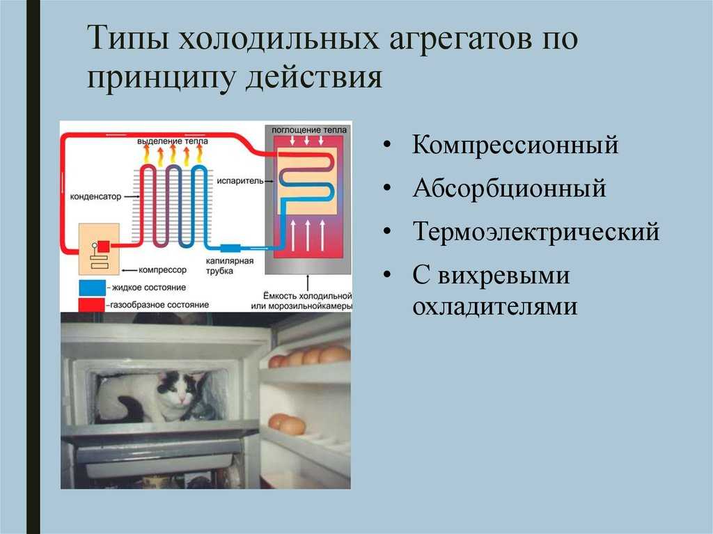 Ремонт холодильного оборудования | портал о компьютерах и бытовой технике