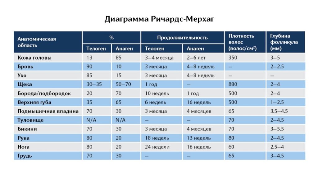 Сколько сантиметров в месяц растут